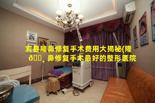 宾县隆鼻修复手术费用大揭秘(隆 🕸 鼻修复手术最好的整形医院)